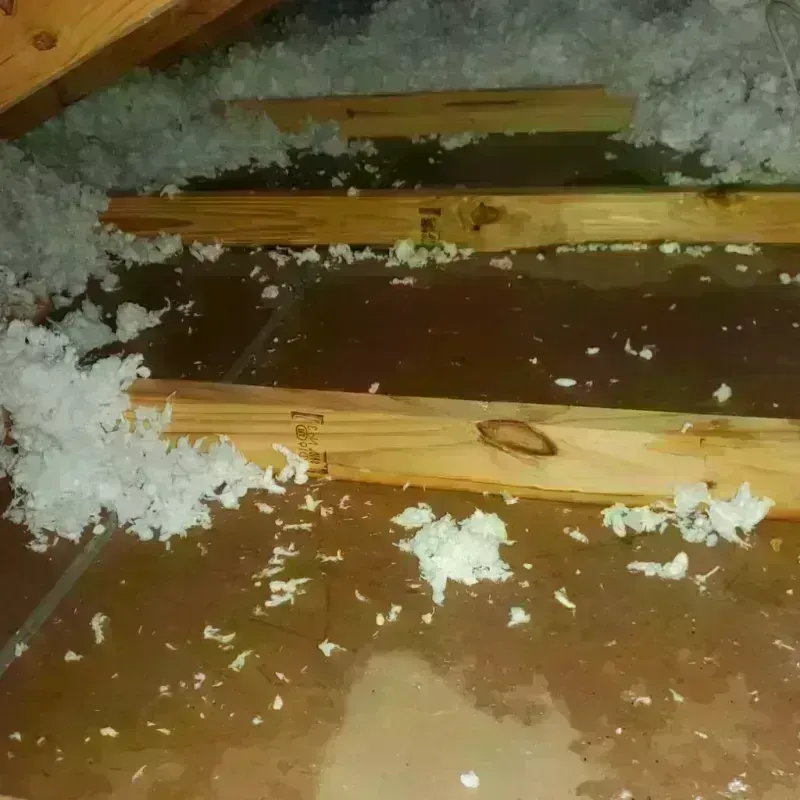 Attic Water Damage in Dixon, IL