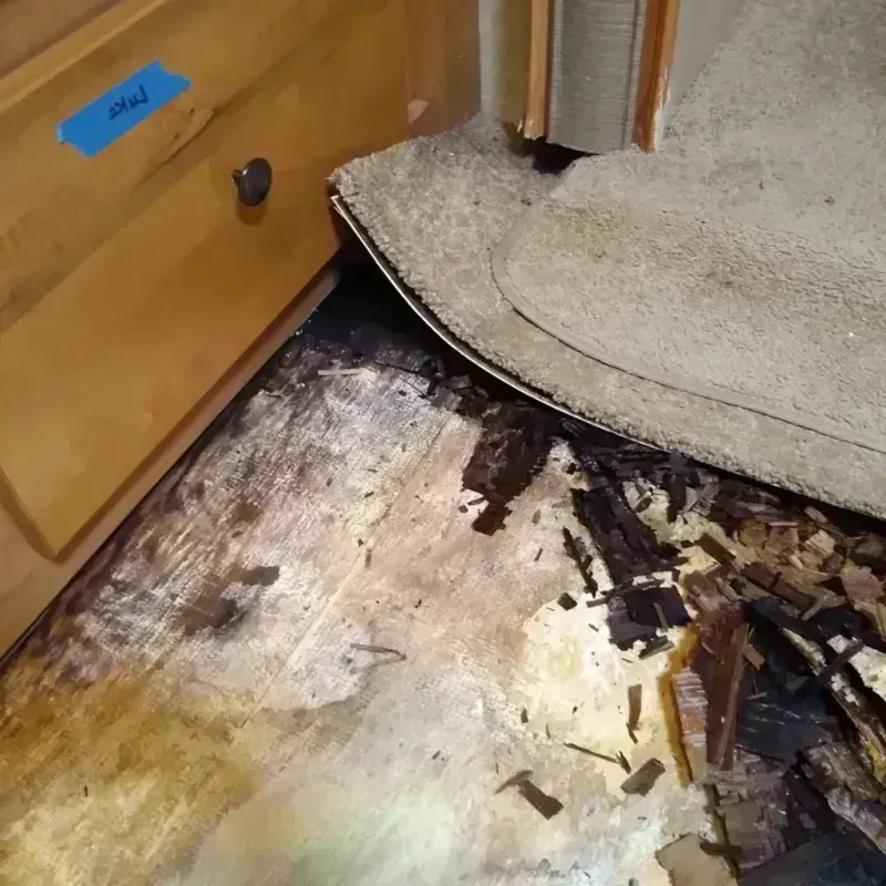 Wood Floor Water Damage in Dixon, IL